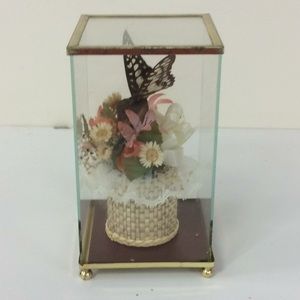Vintage Creco California Preserved Butterfly